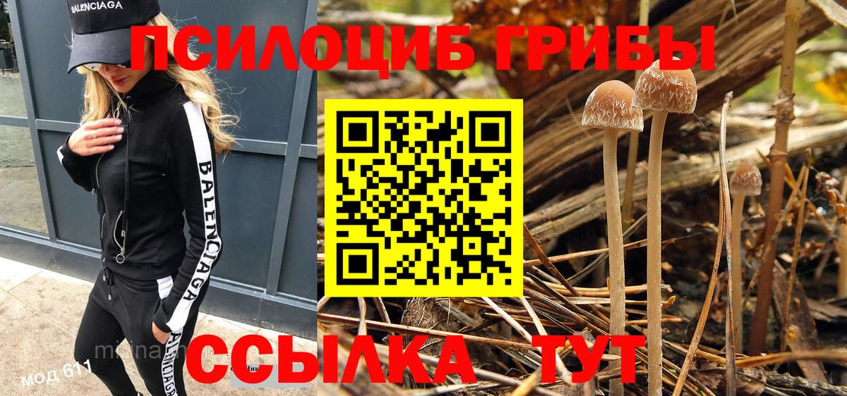 Галлюциногенные грибы мухоморы  где найти   Псилоцибиновые грибы GOLDEN TEACHER  Новоуральск  Вход с VPN 